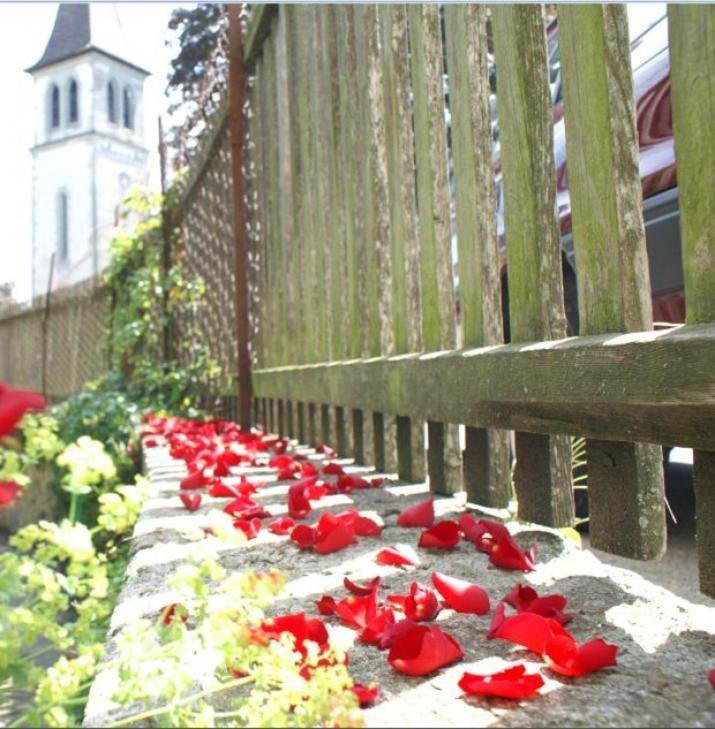 Ringmauer Hotel Murten Eksteriør billede